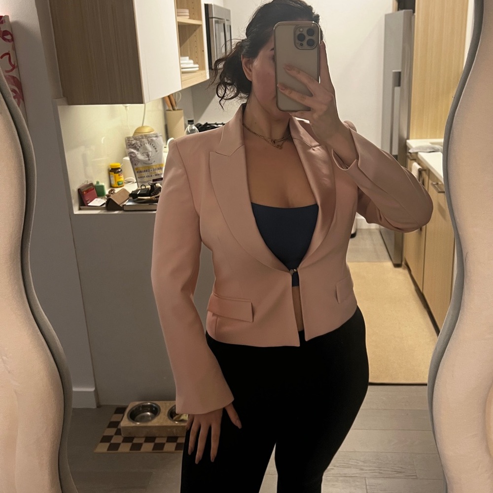 Zara Silk Pink Blazer